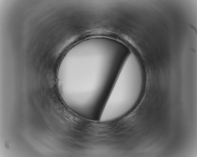 X0000102841213200808181017