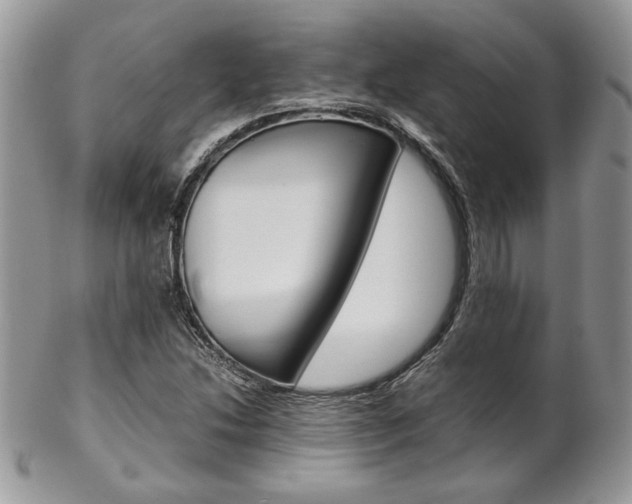 X0000102841214200808181017