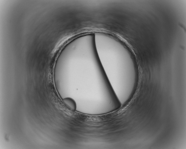 X0000102841215200808181017
