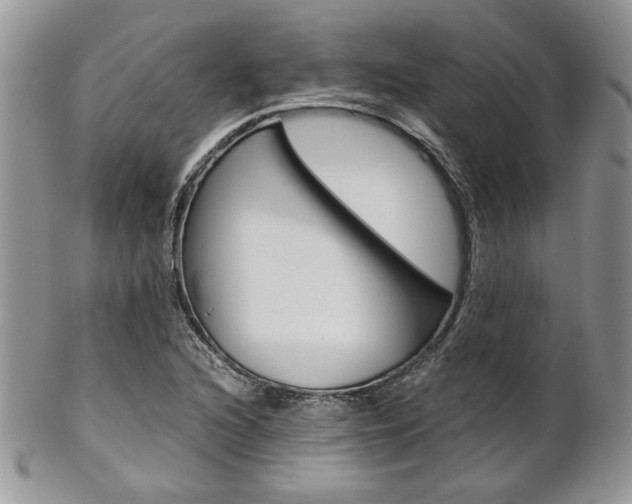 X0000102841216200808181017