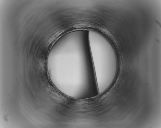 X0000102841217200808181017