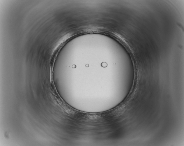 X0000102841219200808181017