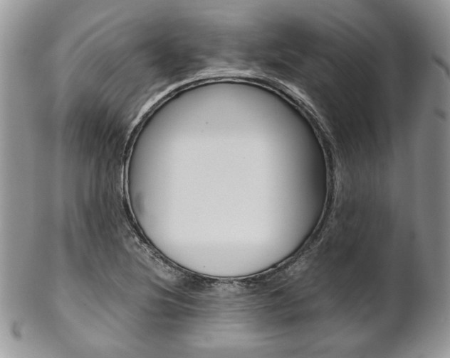 X0000102841220200808181017