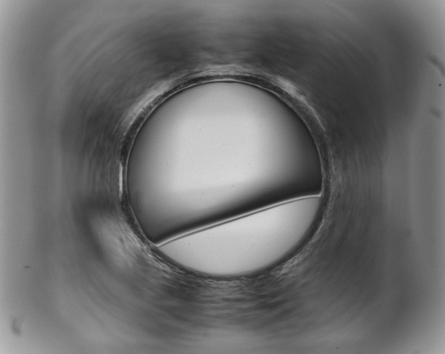 X0000102841221200808181017