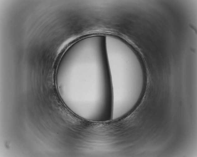 X0000102841222200808181017
