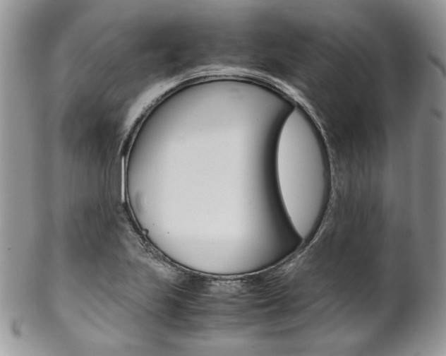 X0000102841223200808181017