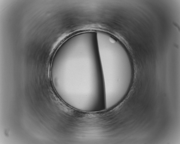 X0000102841224200808181017