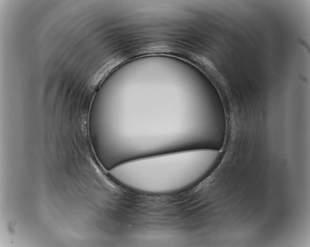 X0000102841225200808181017