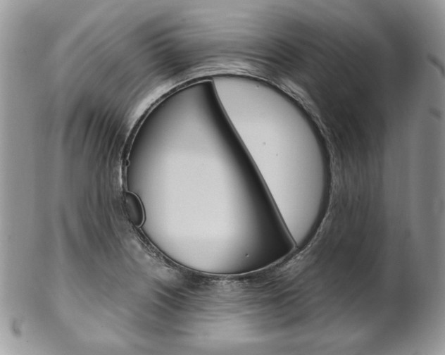 X0000102841226200808181017
