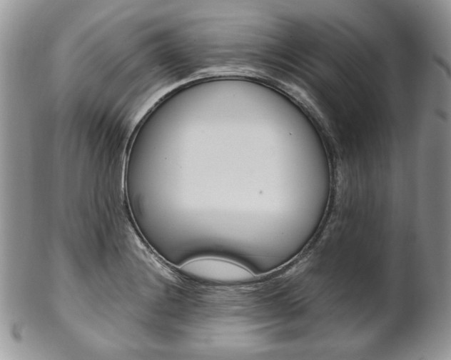 X0000102841228200808181017