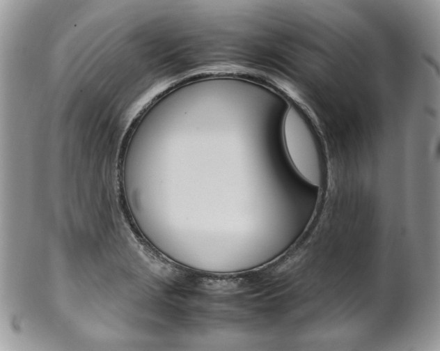 X0000102841229200808181017