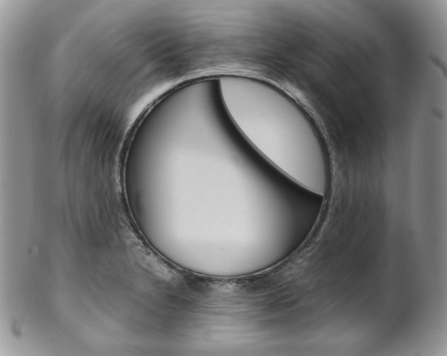 X0000102841230200808181017