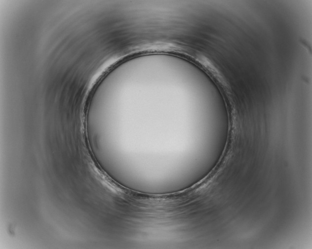 X0000102841232200808181018