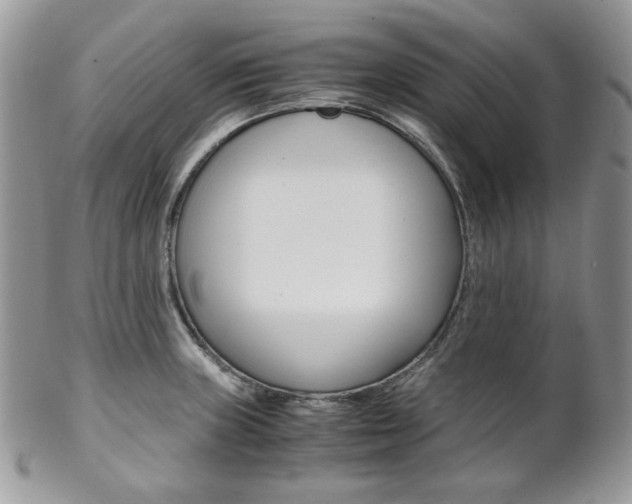 X0000102841235200808181018