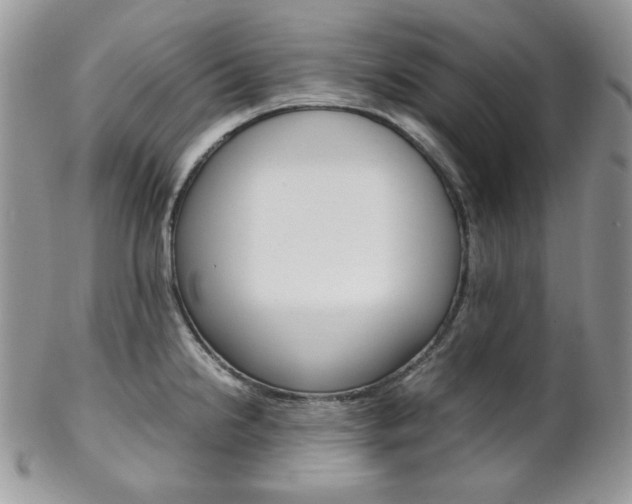 X0000102841238200808181018