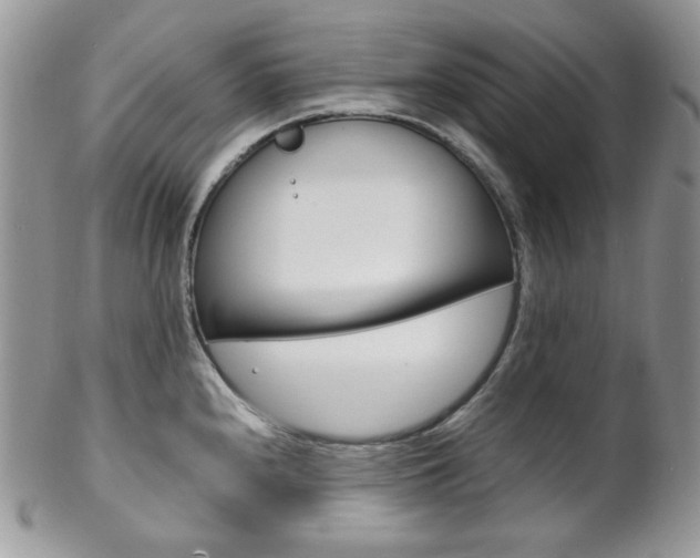 X0000102841240200808181018