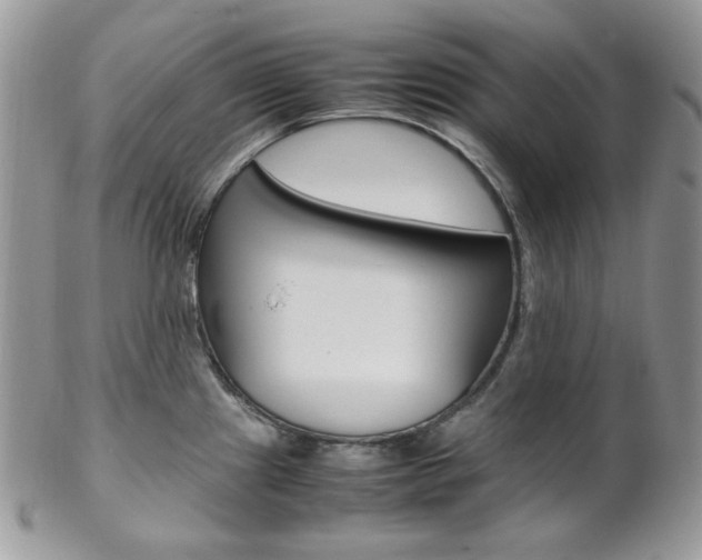 X0000102841241200808181018