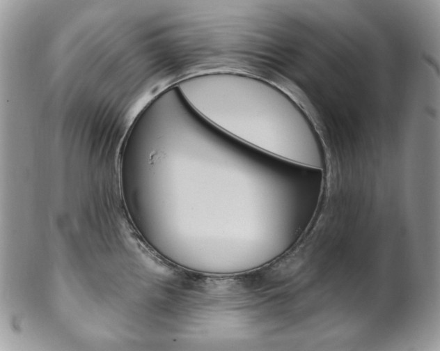 X0000102841242200808181018