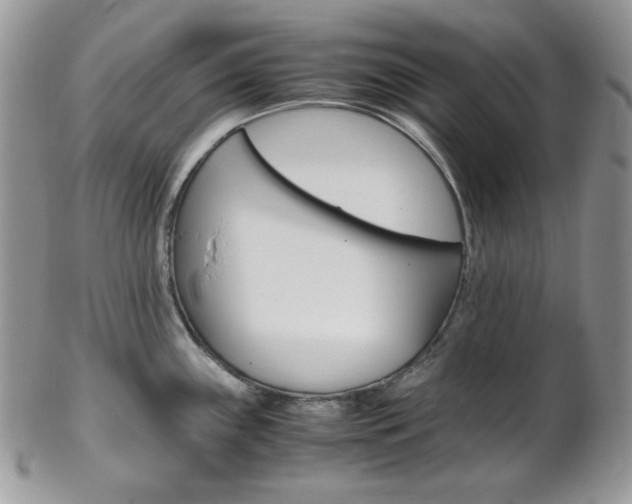 X0000102841243200808181018