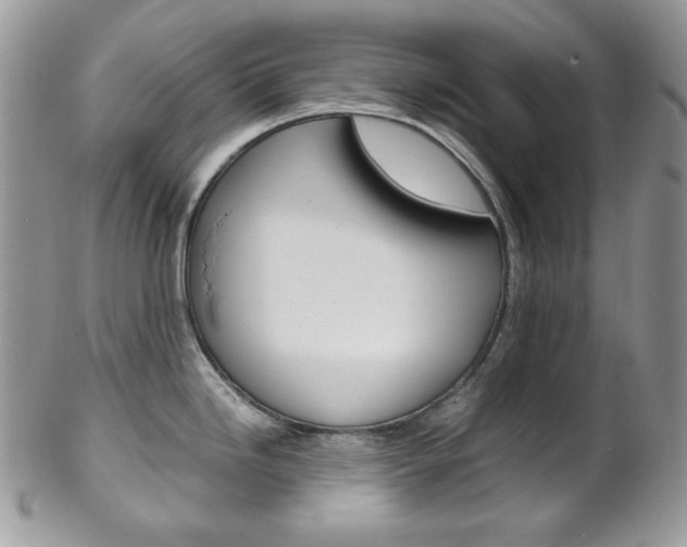 X0000102841246200808181018