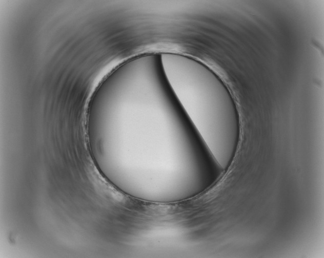 X0000102841248200808181018