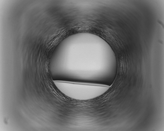 X0000102841250200808181017