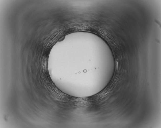 X0000102841251200808181017