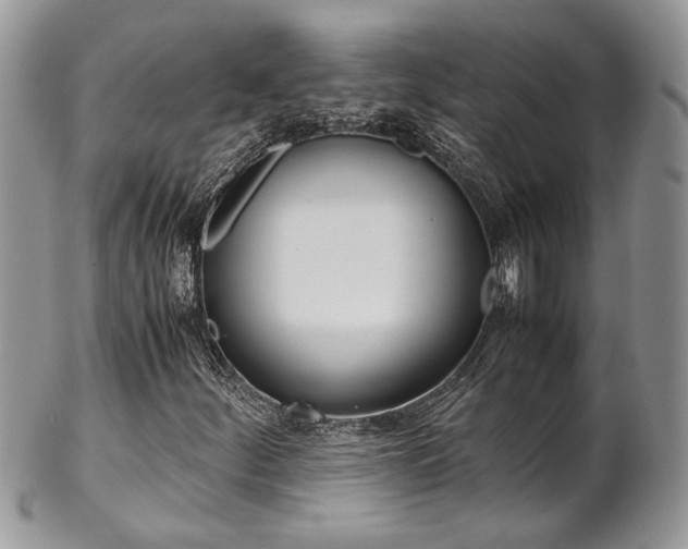 X0000102841252200808181017