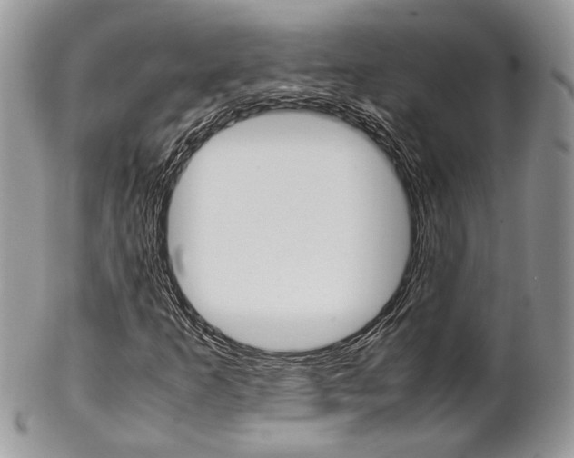 X0000102841253200808181017