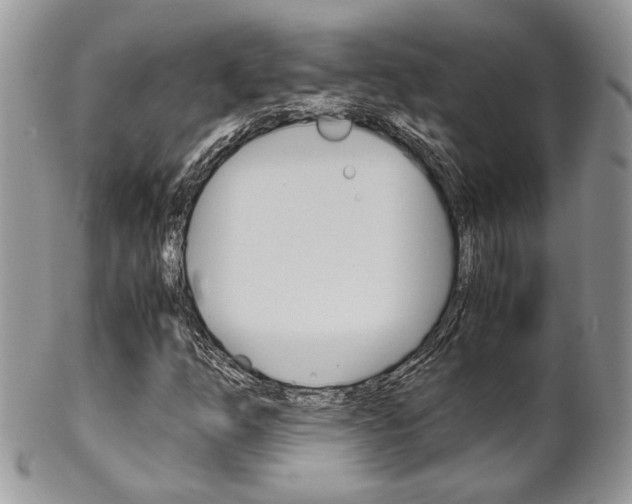 X0000102841254200808181017