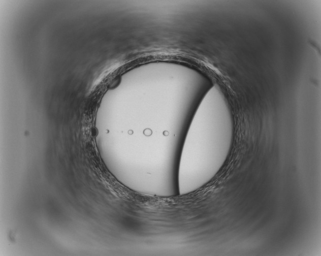 X0000102841255200808181017