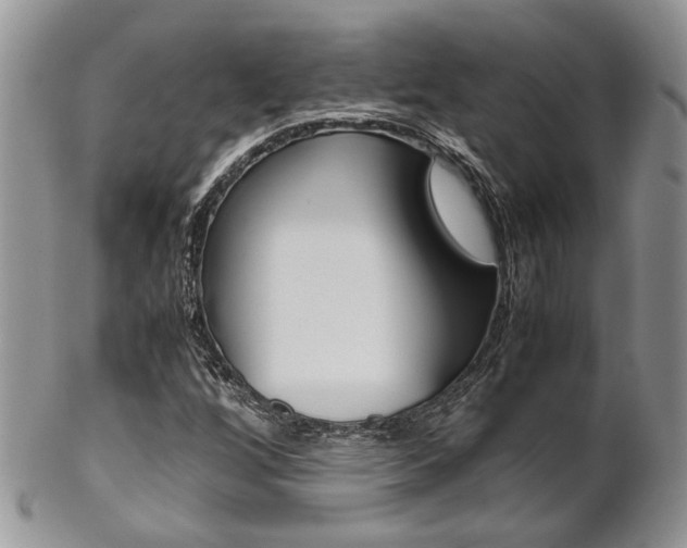 X0000102841256200808181017