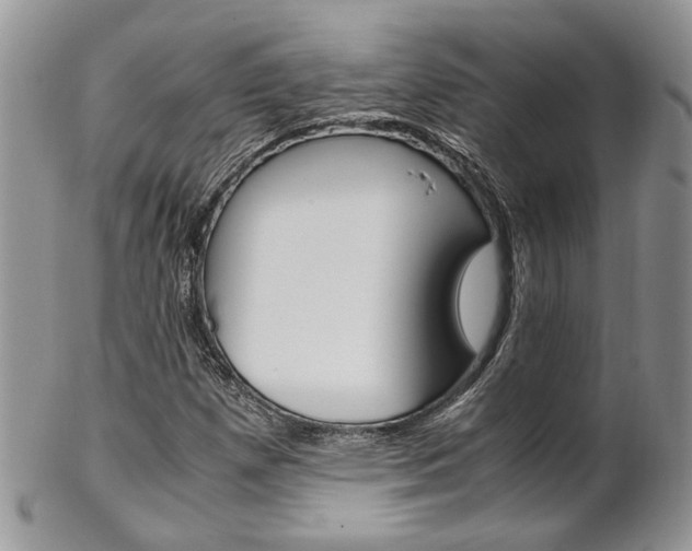 X0000102841257200808181017