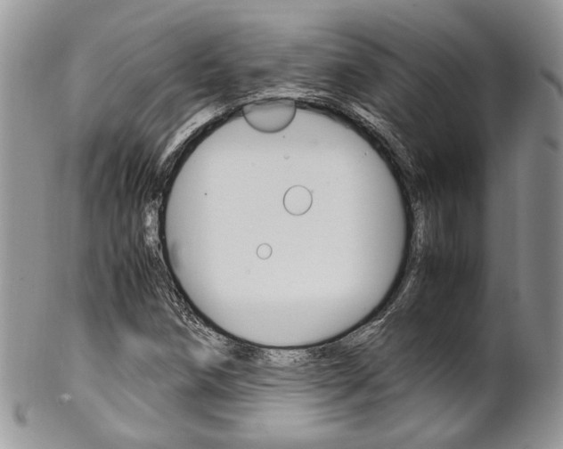 X0000102841258200808181017