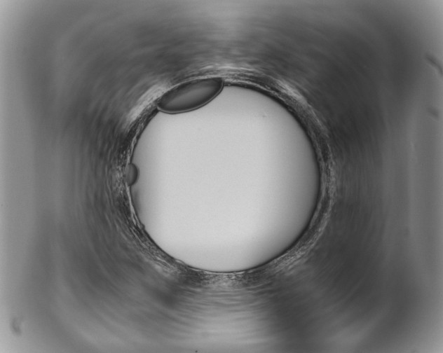 X0000102841259200808181017