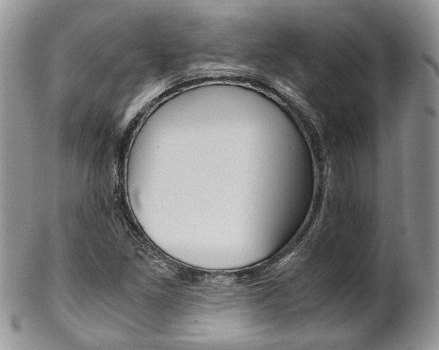 X0000102841261200808181017