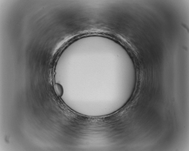 X0000102841262200808181017