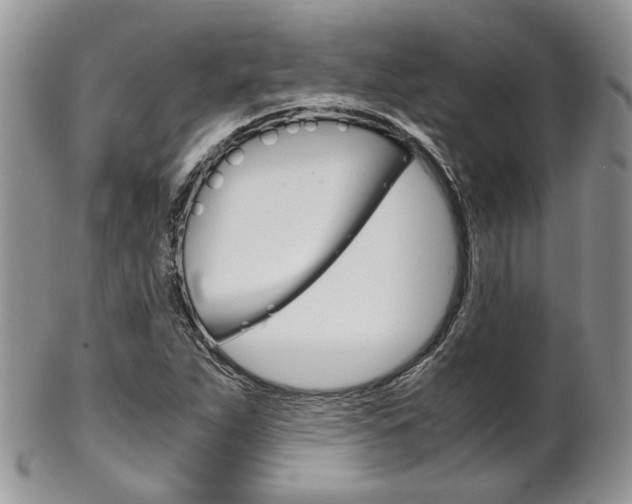 X0000102841263200808181017