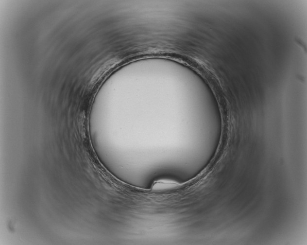 X0000102841265200808181017