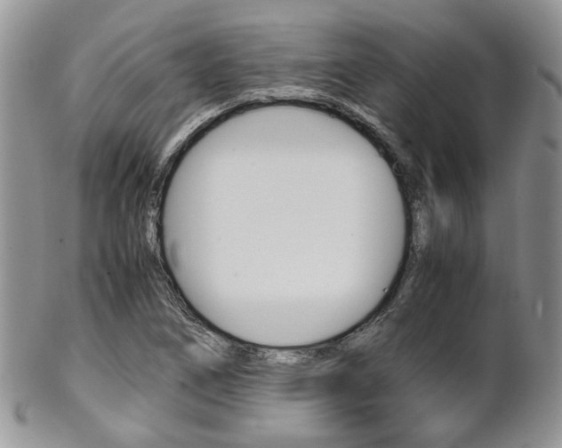 X0000102841266200808181017