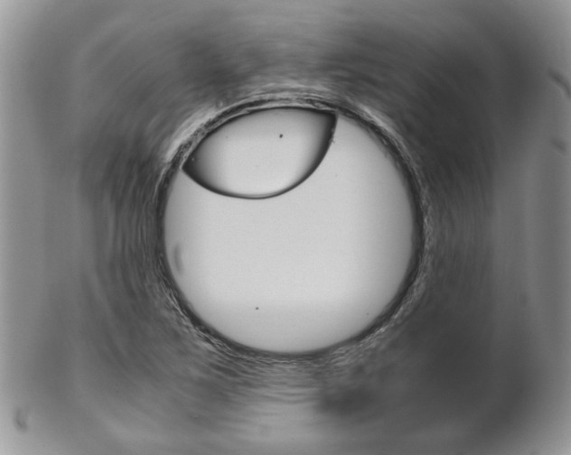 X0000102841267200808181017