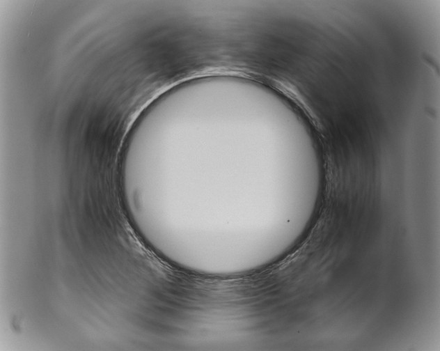 X0000102841268200808181017