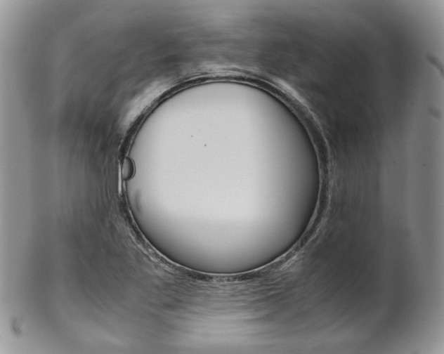 X0000102841269200808181017