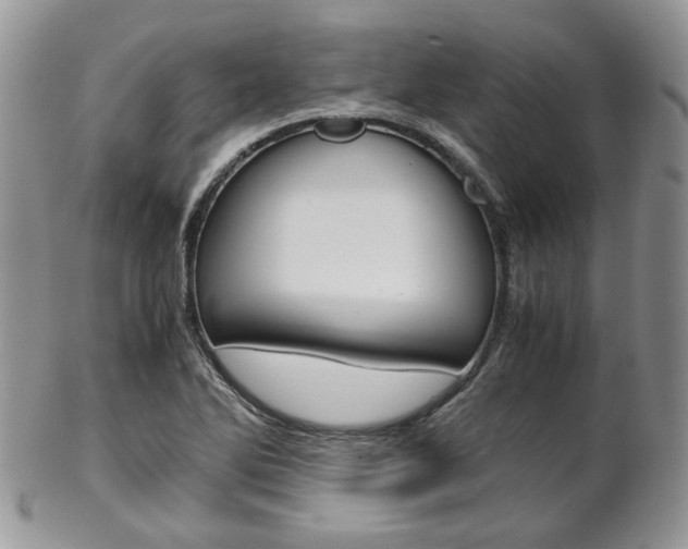 X0000102841270200808181017