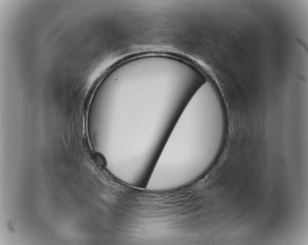 X0000102841271200808181017