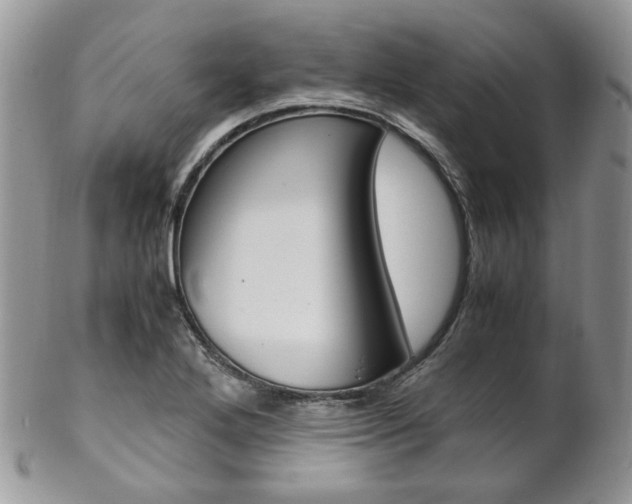 X0000102841272200808181017
