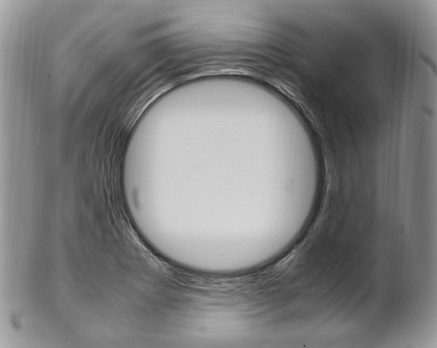 X0000102841273200808181017