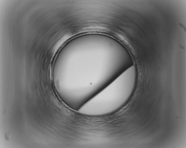X0000102841275200808181017