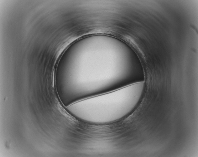 X0000102841276200808181017