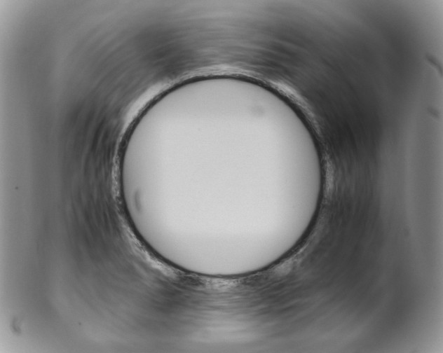 X0000102841278200808181017